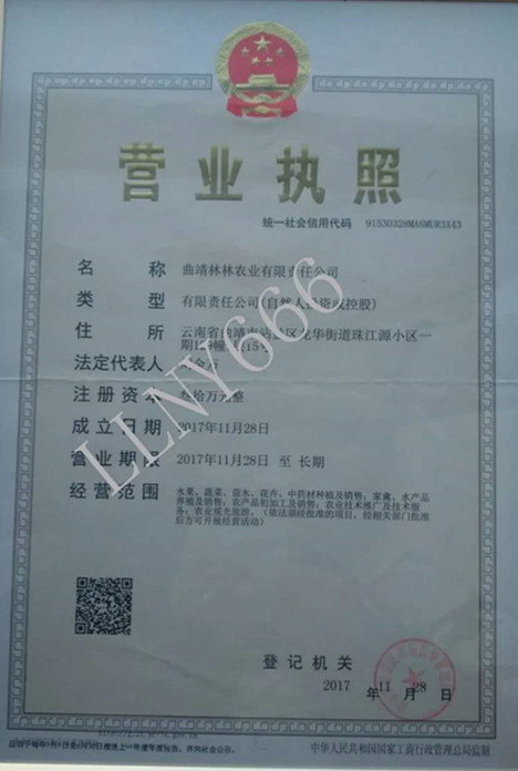 f6d56ad9b01fa0ab03ae5b734eace24f.jpg